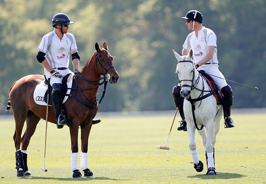 prince harry william polo