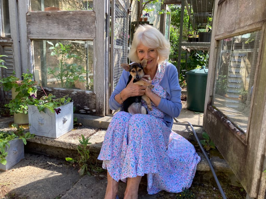 queen camilla holding rescue dog Moley