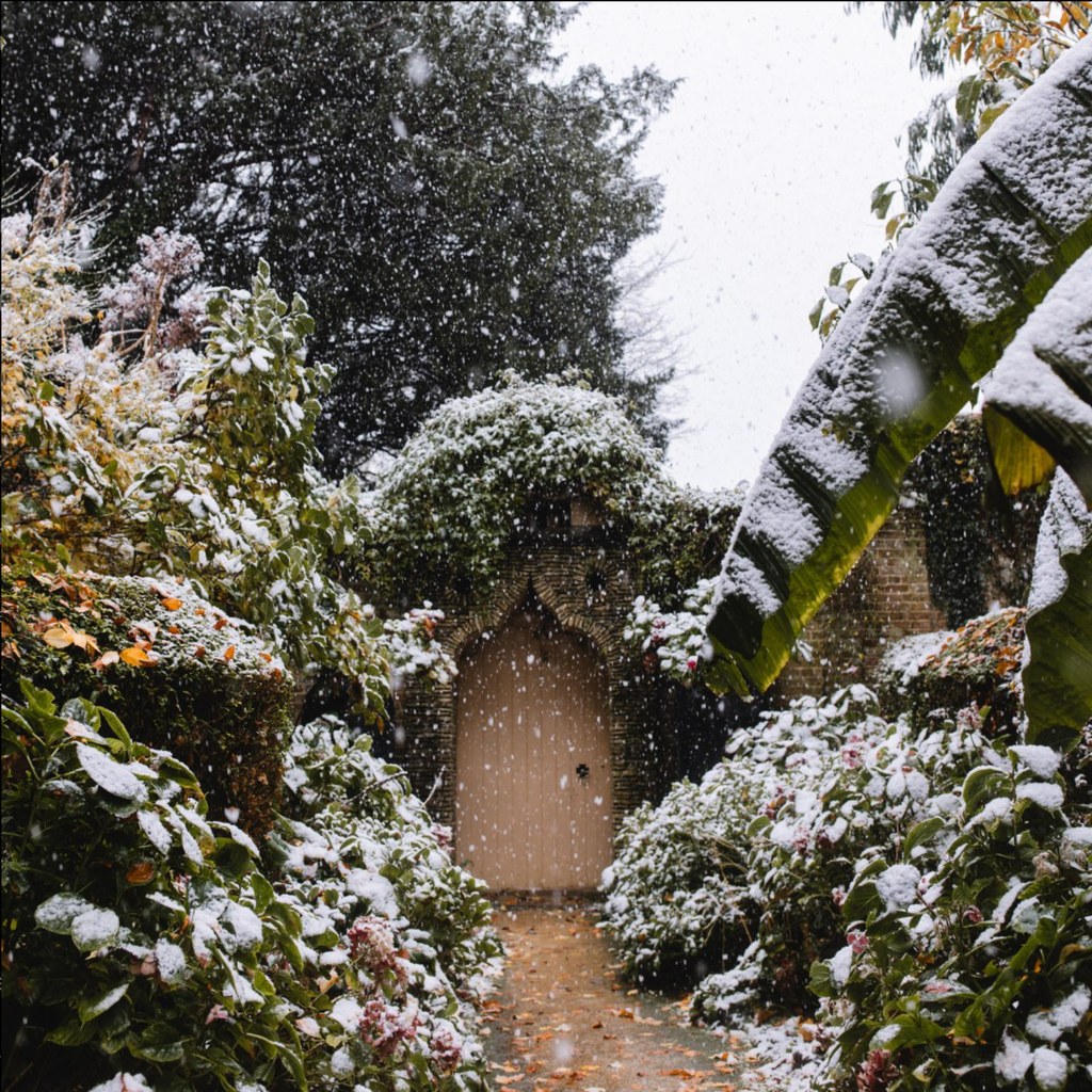 Highgrove Gardens in the snow