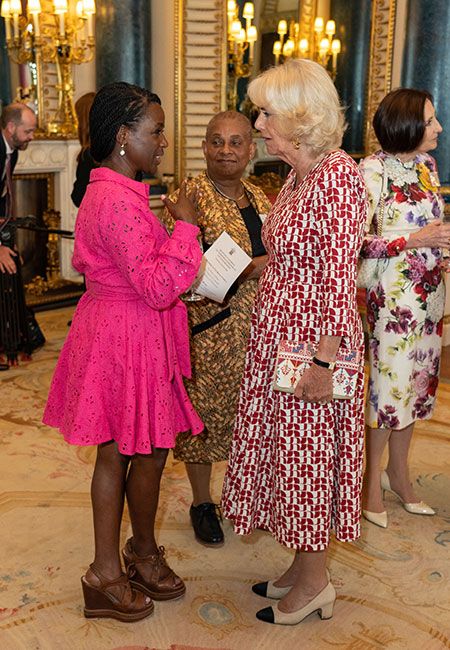 duchess camilla dress maxmara