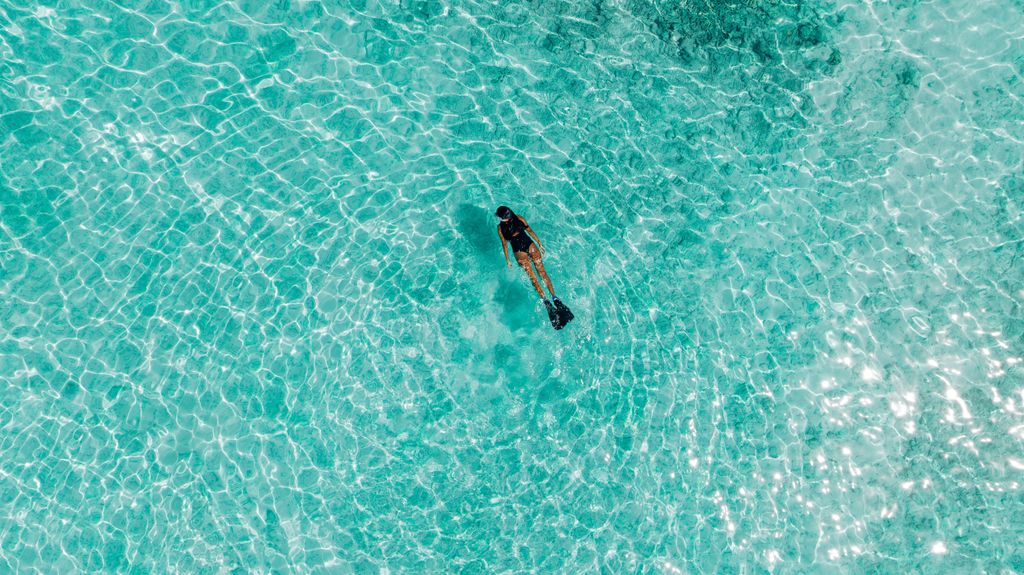 Snorkelling off the reef at Nova Maldives is one of the best water experiences I've ever had