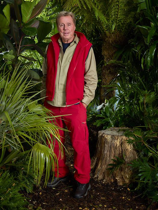harry redknapp im a celeb official photo