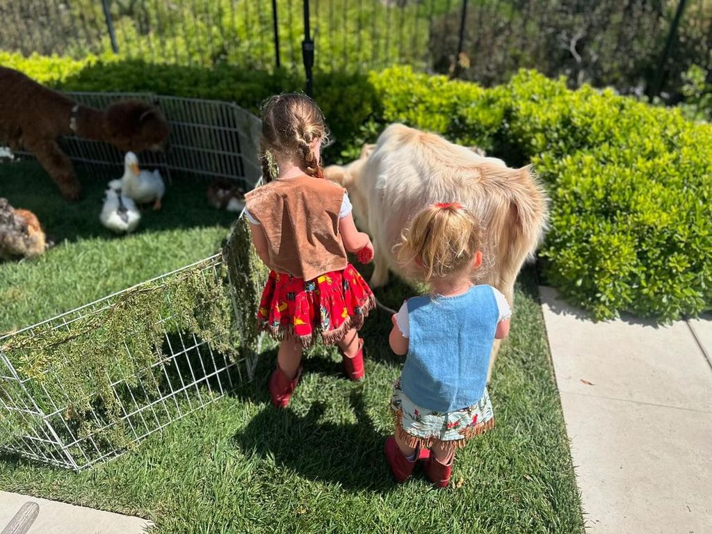 Chris added a photograph of his daughters playing with farm animals in a pen