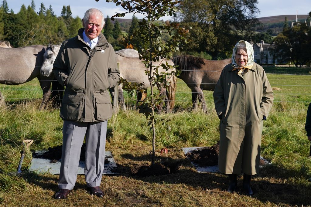 King Charles and the Queen stood with a freshly-planted tree