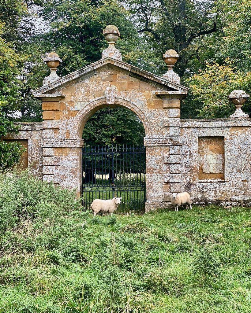 Althorp House sheep 