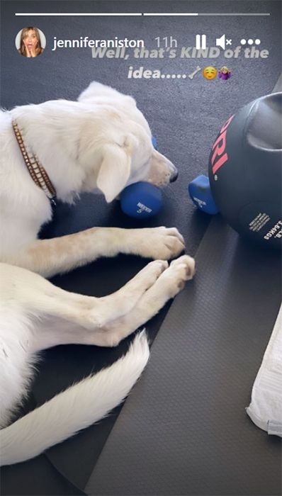 jennifer aniston workout dog