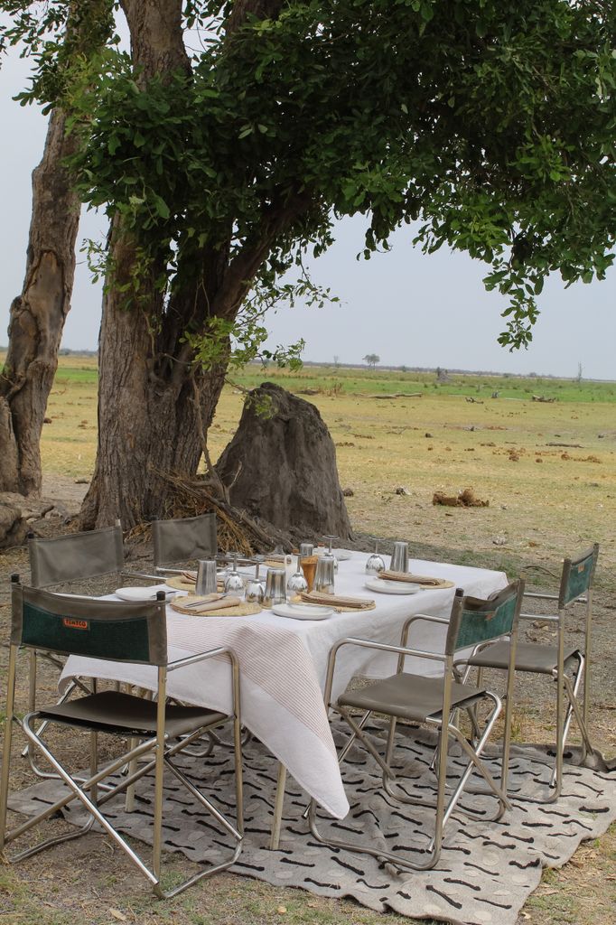 wilderness safari food