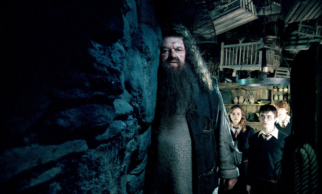 Robbie Coltrane originated the role