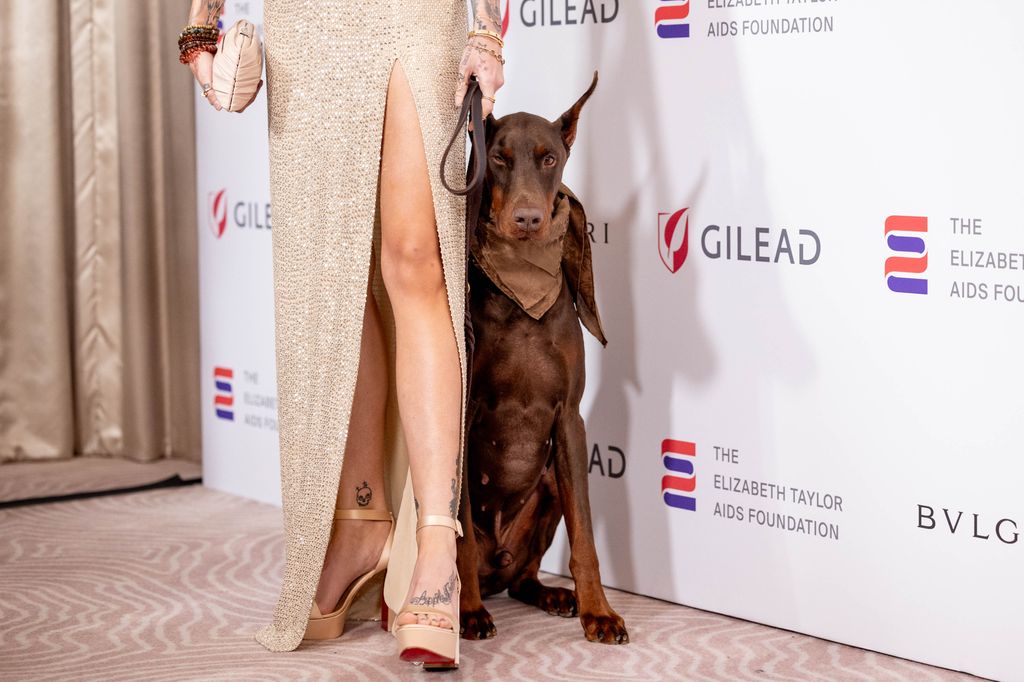 Paris Jackson's dog, Doberman Pinscher Koa, poses on red carpet.