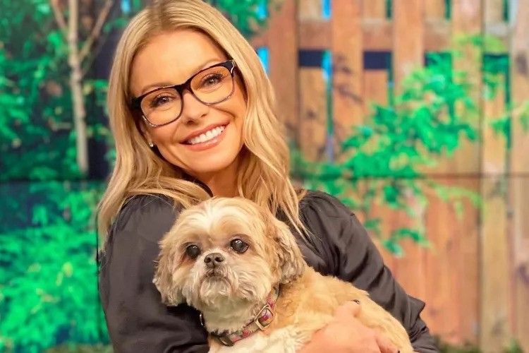 kelly ripa holding late dog chewie