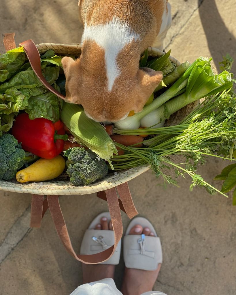 Meghan, Mia and her 'garden haul'