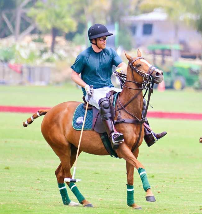 prince harry playing polo on a brown horse