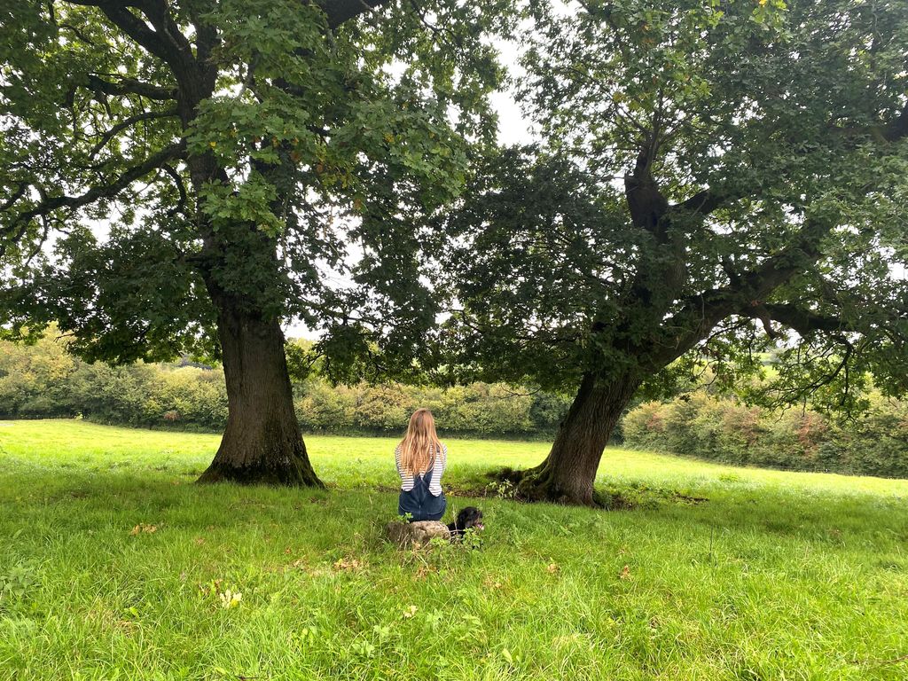 woman sitting beneath trees