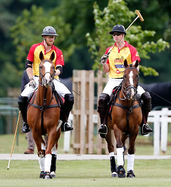 prince harry and william playing polo cirencester