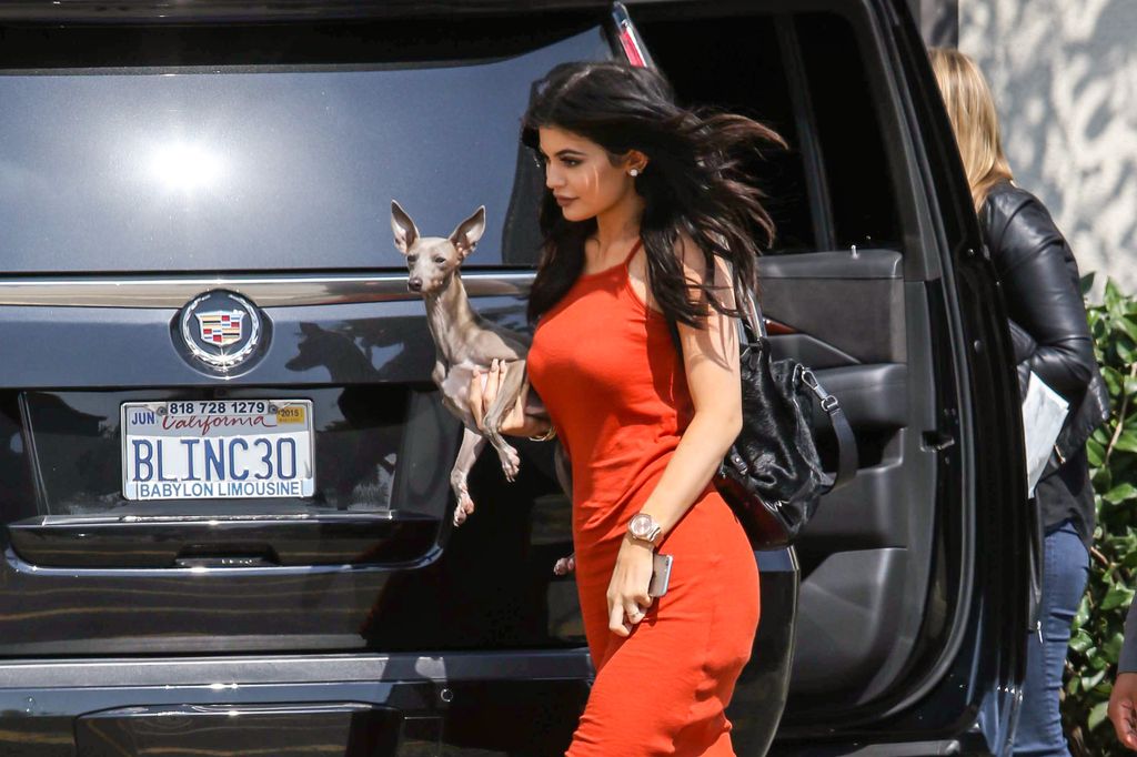 Kylie Jenner promotes TopShop at the Grove with her dog Norman on June 03, 2015 in Los Angeles, California