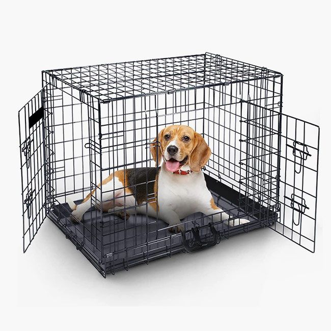 dog crate