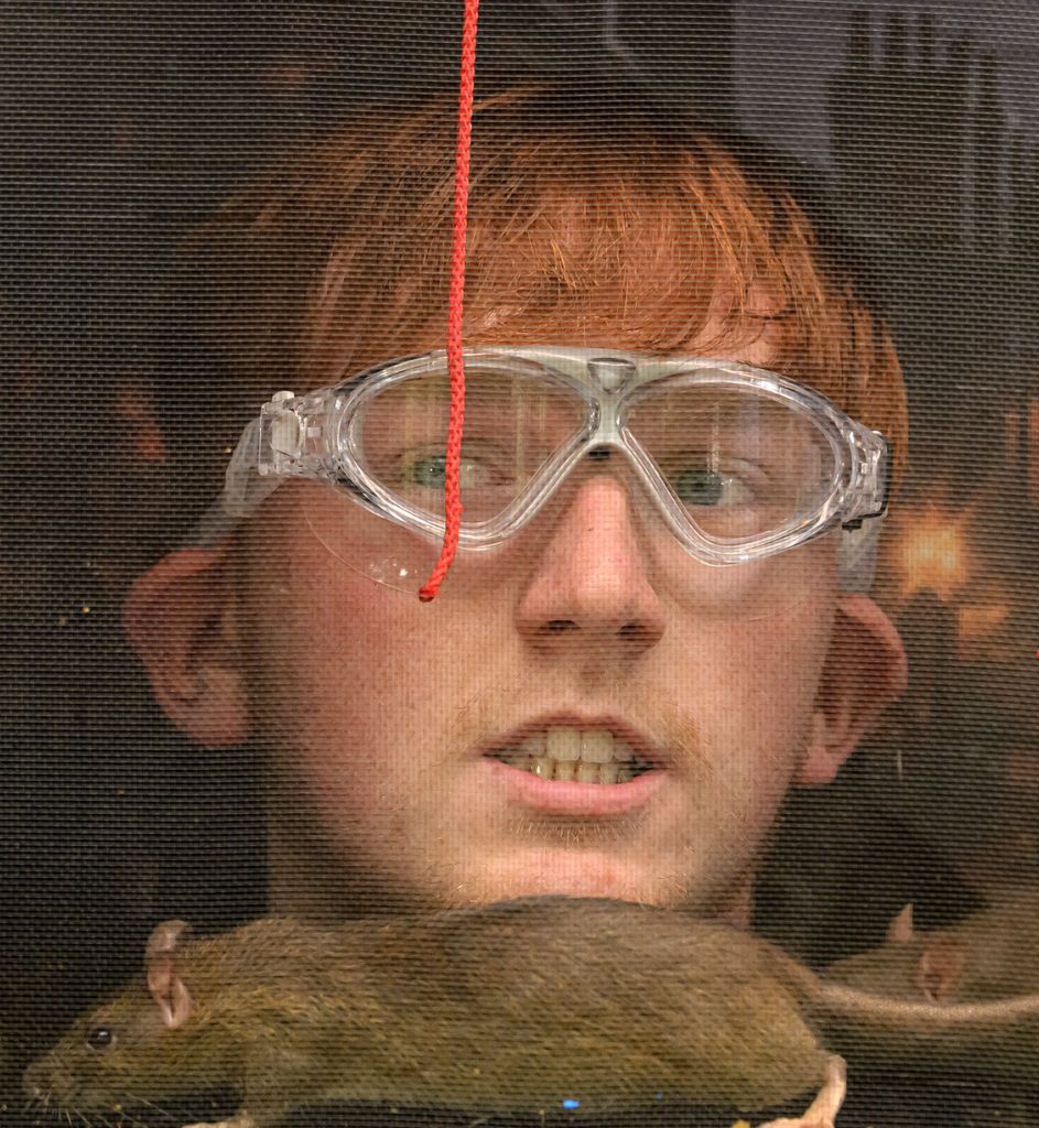 Angry Ginge's head in a box