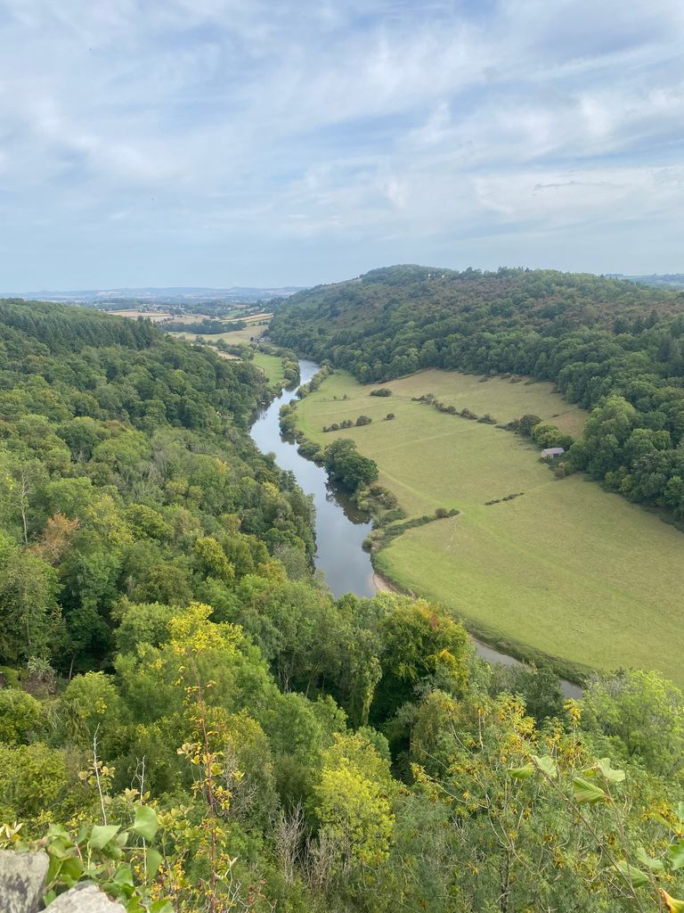 The view from Symonds Yat