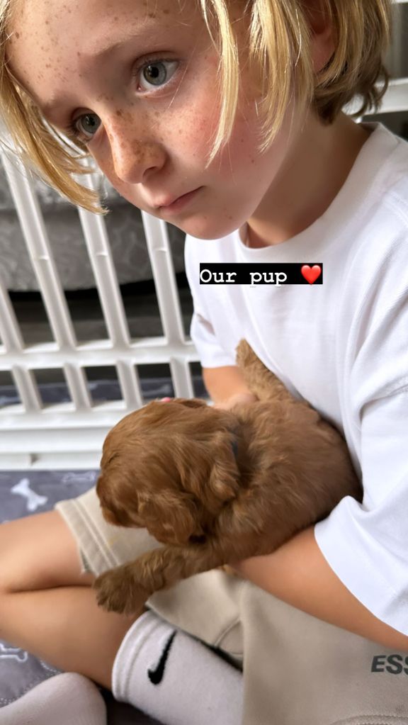 A photo of Abbey Clancy's new puppy with her son