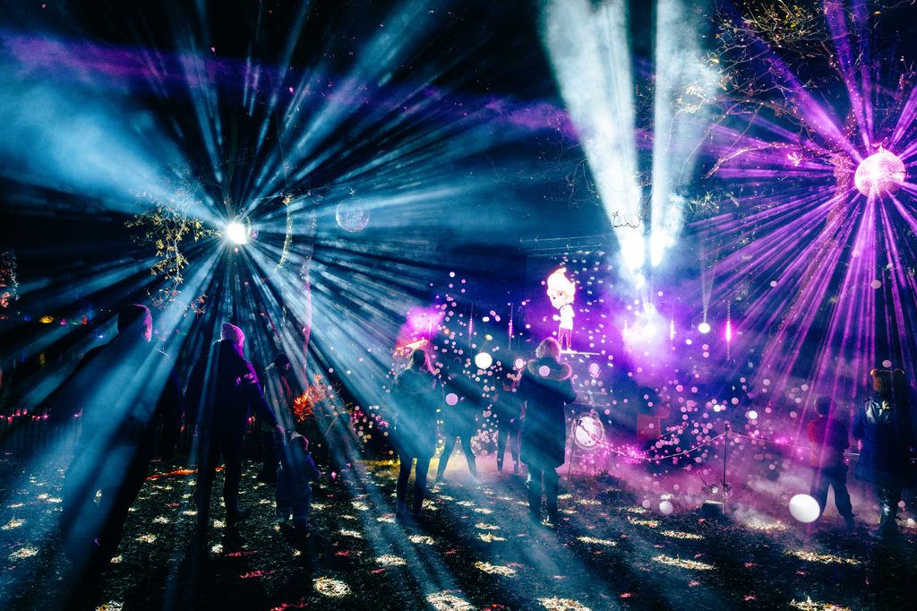 Windsor Great Park Illuminated