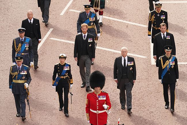 prince harry queen procession