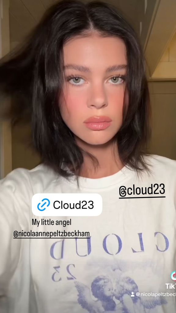 Brookyln Beckham shared an Instagram story of his wife Nicola Peltz wearing his t-shirt earlier today