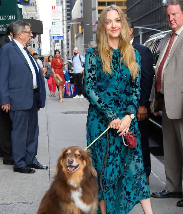 amanda seyfried dog show