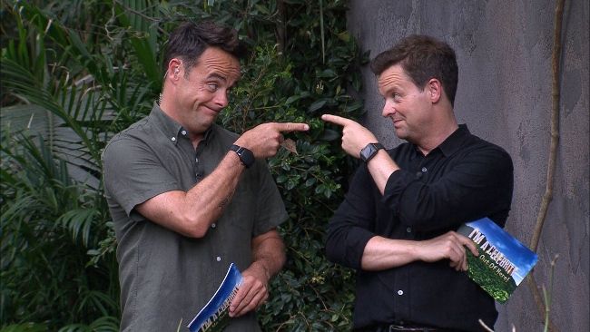 ant and dec pic