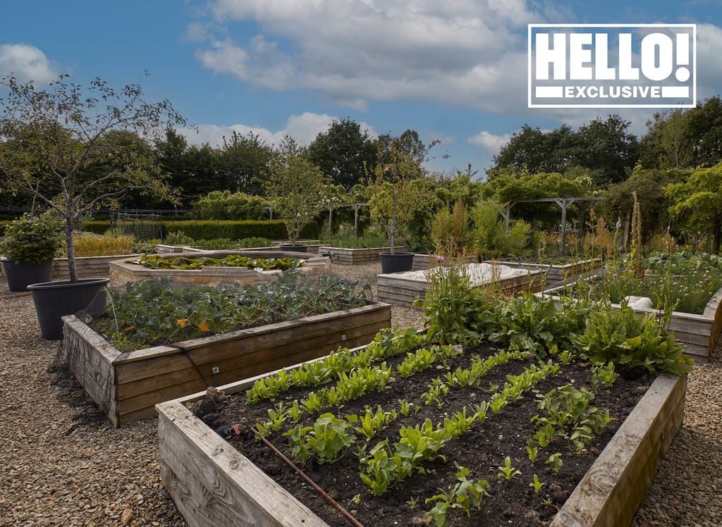 Blur star Alex James's vegetable patches at farmhouse in Kingham, Oxfordshire 