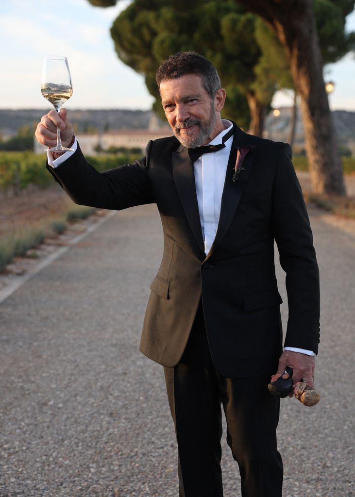 Antonio Banderas raises a glass to toast the newlyweds