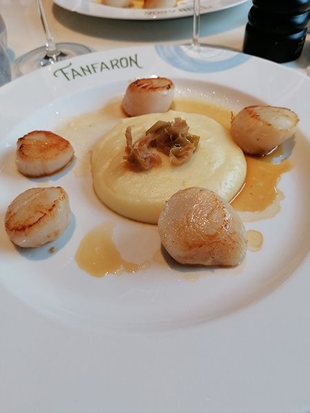 Mashed potato surrounded by five scallops