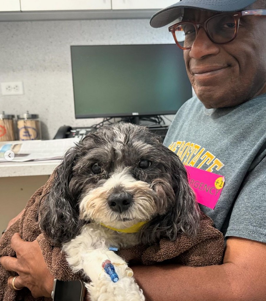 Photo shared by Deborah Roberts on May 5, 2024 sharing with fans that her and Al Roker's dog Pepper had unexpectedly collapsed and was recovering after emergency surgery