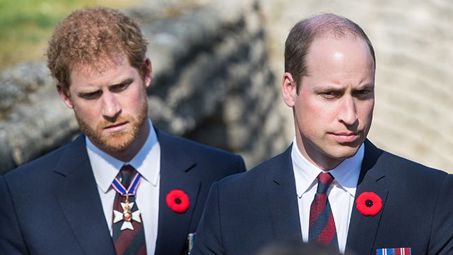 Prince Harry and Prince William look solemn as they stand together