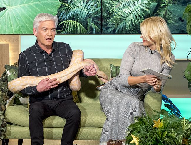 holly willoughby and phillip schofield have snake on this morning 2z