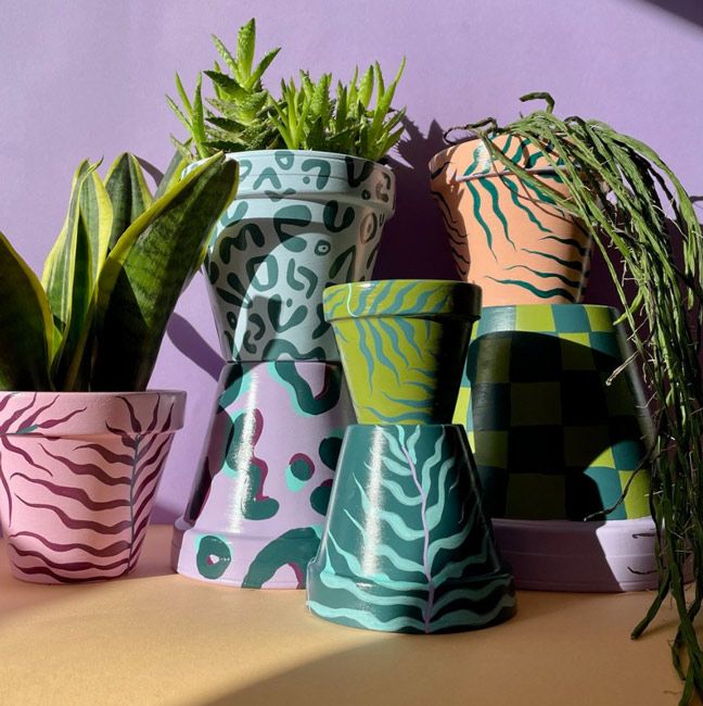 plants in colourful painted pots