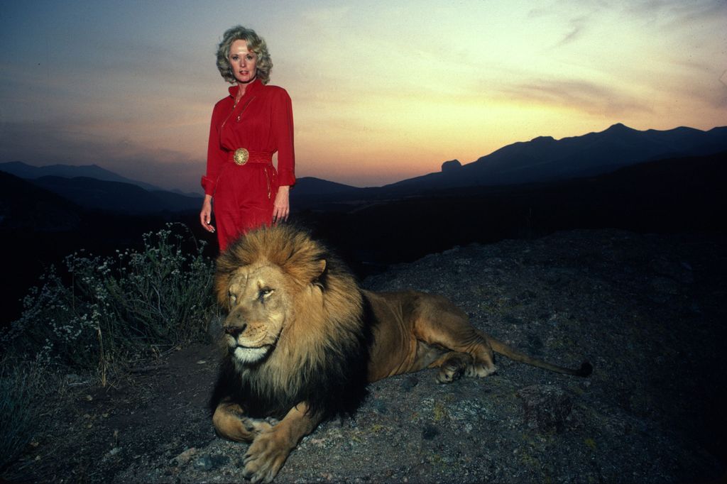 Tippi Hedren overlooking her animal reserve with a full grown male lion
