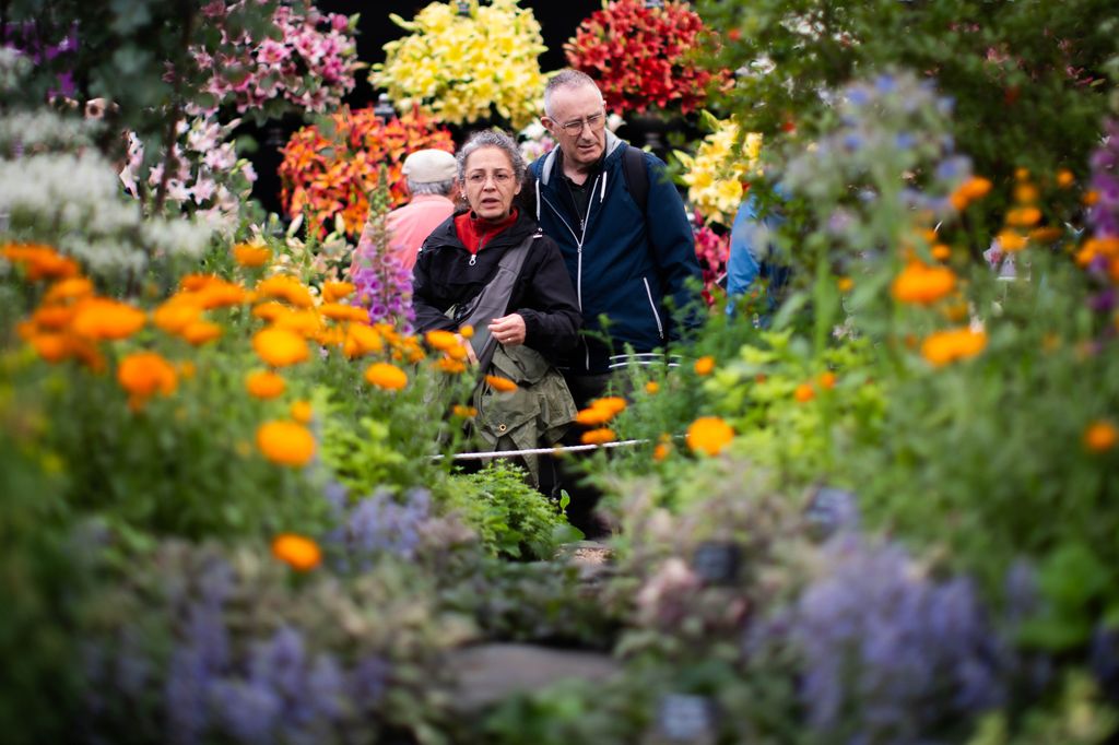 Ornamental and edible plants can go perfectly hand-in-hand