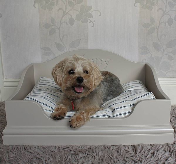 dog bed furniture
