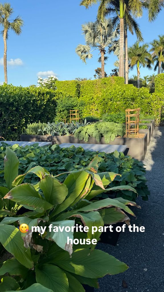 Tom Brady reveals his vegetable patch