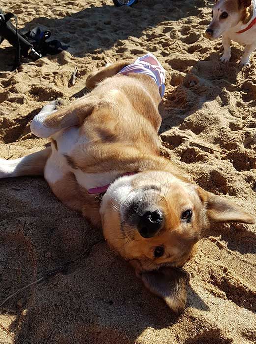 ella on beach
