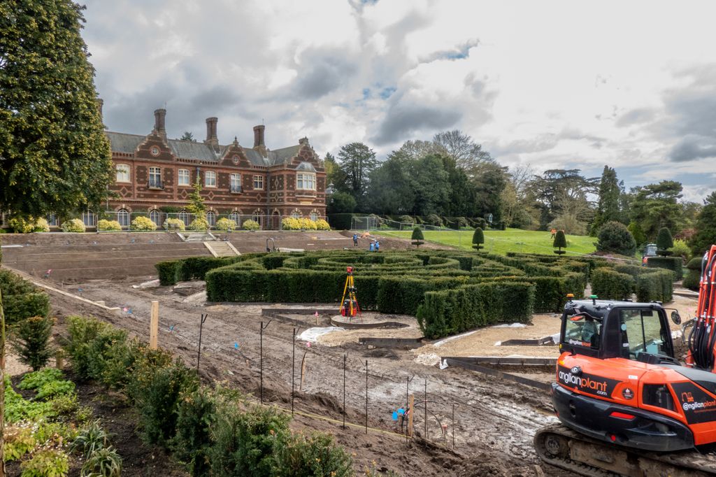 Work on the new maze at Sandringham House 