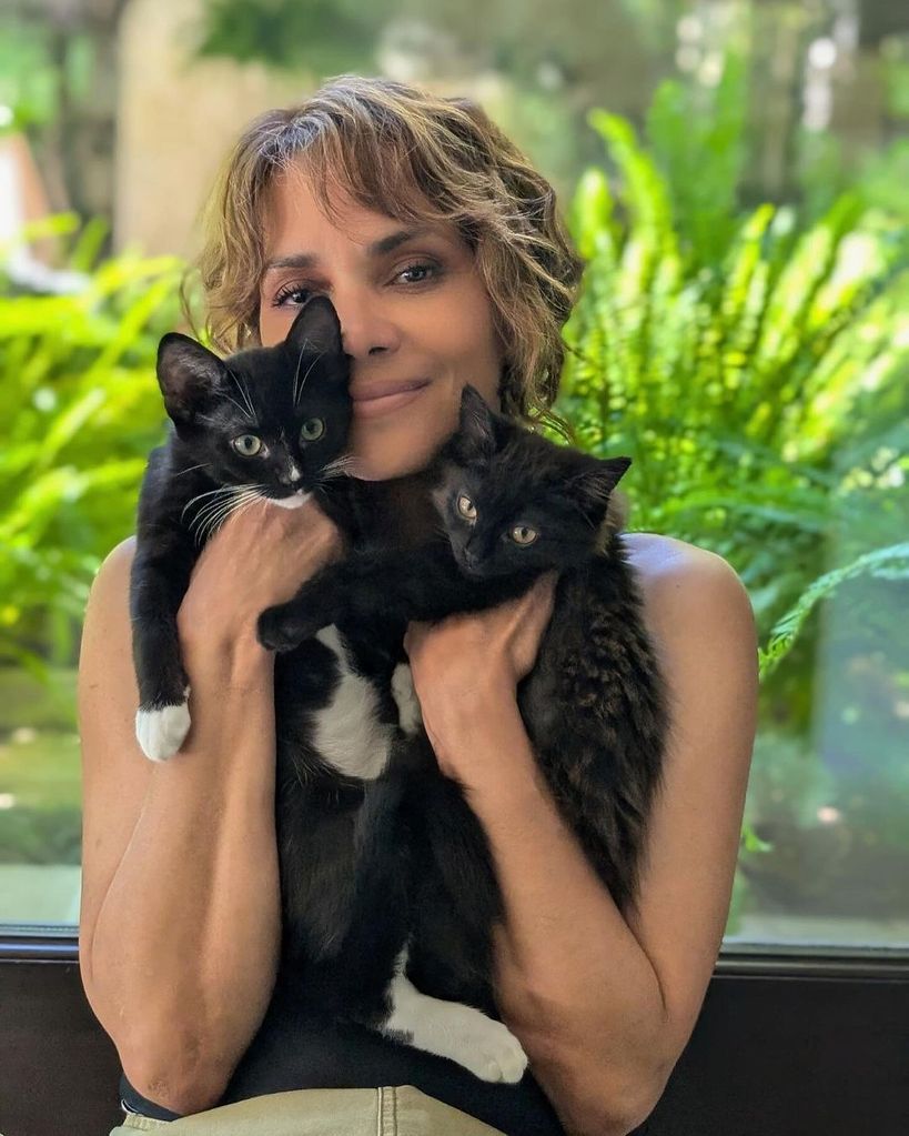 Halle Berry welcomes new kittens to her brood!