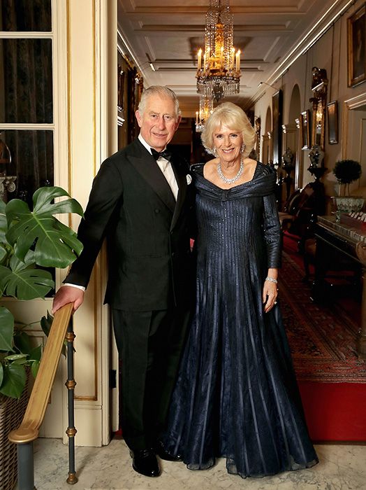 prince charles official birthday dinner picture