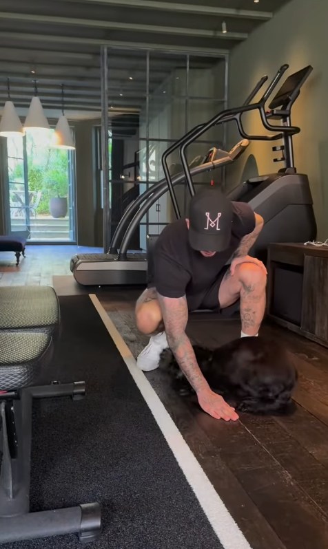 David Beckham playing with his dog in his home gym