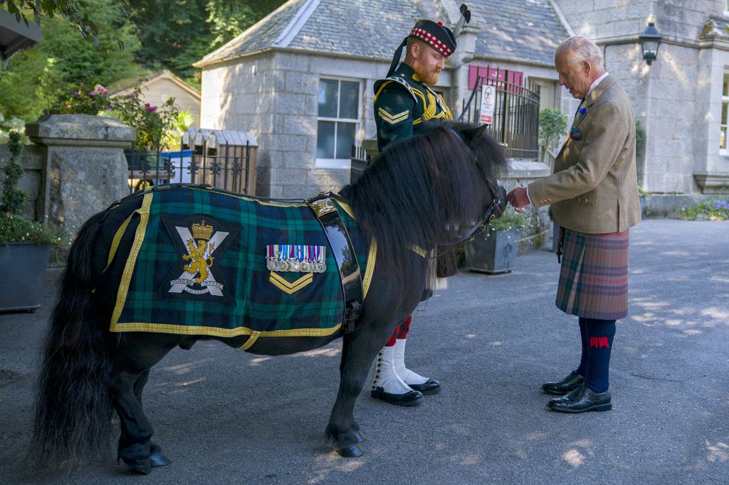 King Charles strokes pony
