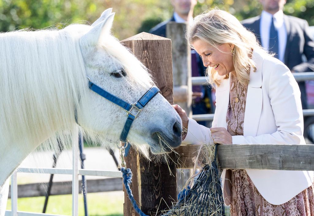 Sophie Wessex greeting a lovely white horse