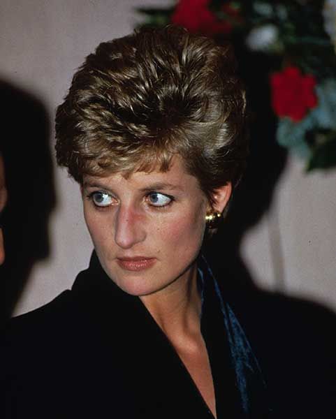 princess diana 1993