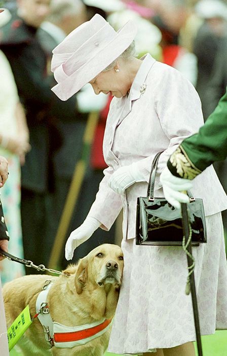 queen guide dog