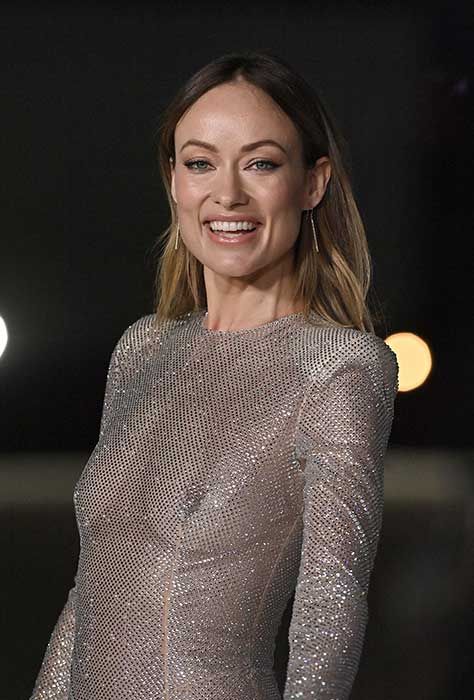 olivia wilde silver gown
