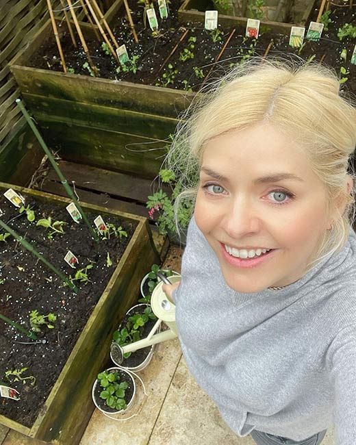 holly willoughby garden patches 2